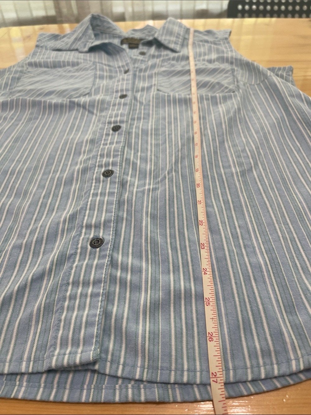 Noble Outfitters Blue White Striped Sleeveless Western Button Up Shirt Size XL - Picture 7 of 13